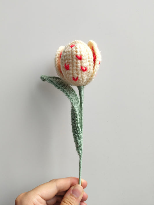 Love Tulips