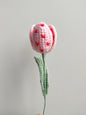 Love Tulips