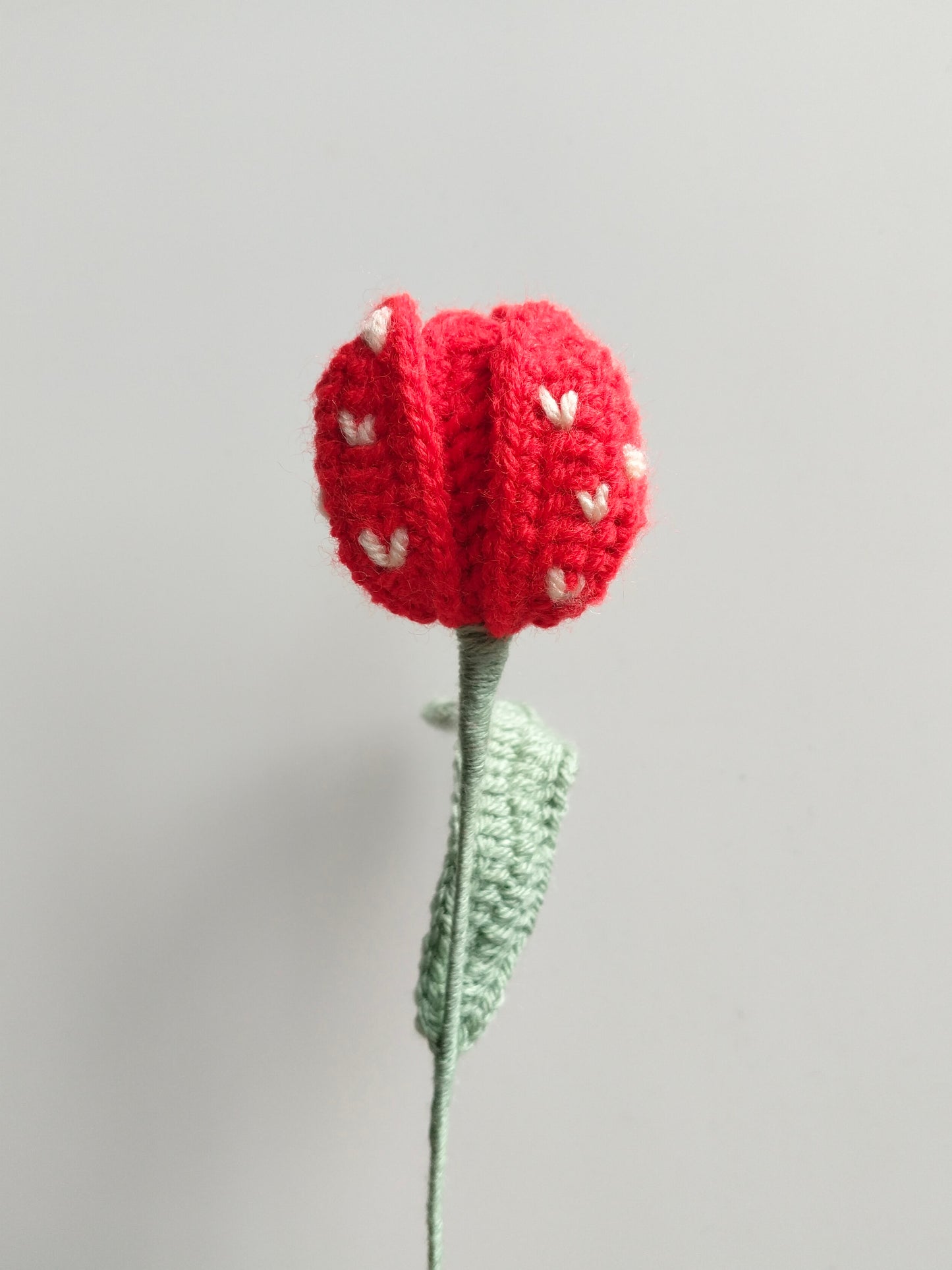 Love Tulips