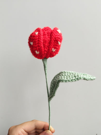 Love Tulips