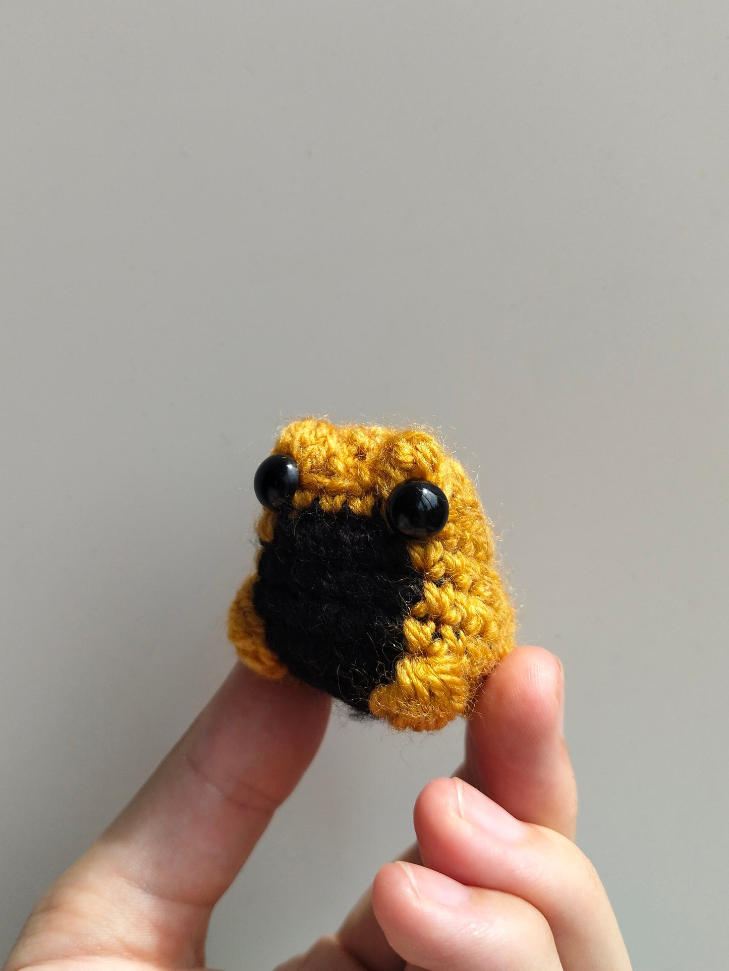 Mini Frog