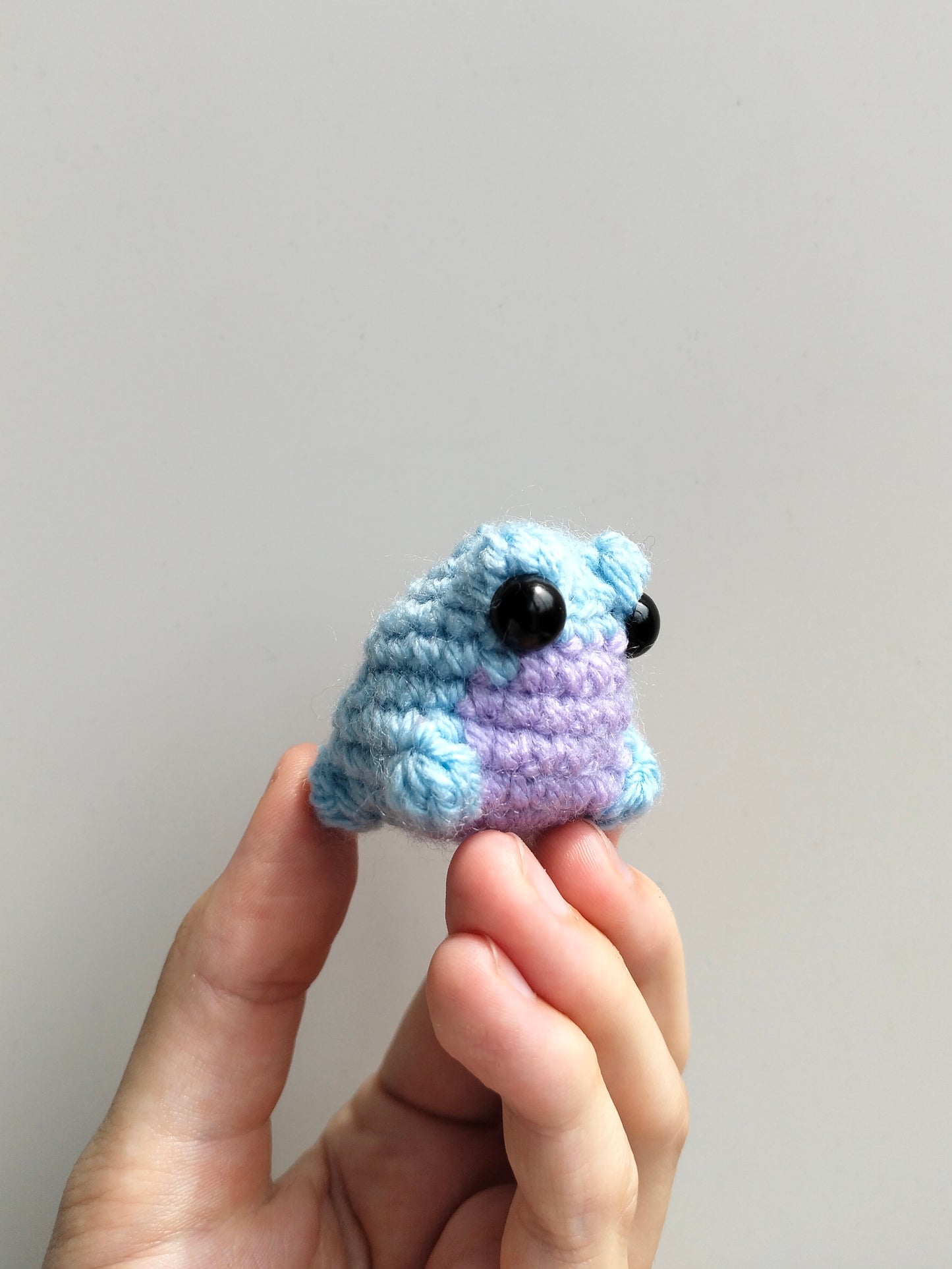 Mini Frog