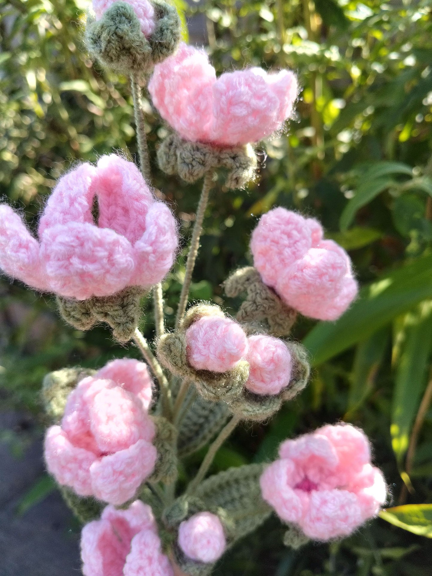Rock Jasmine