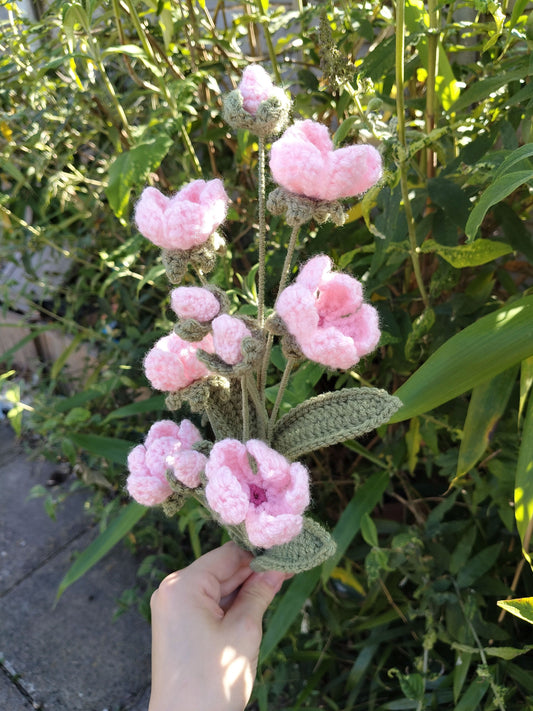 Rock Jasmine