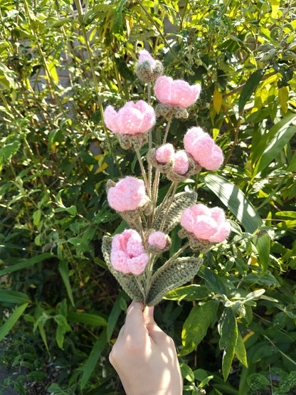 Rock Jasmine