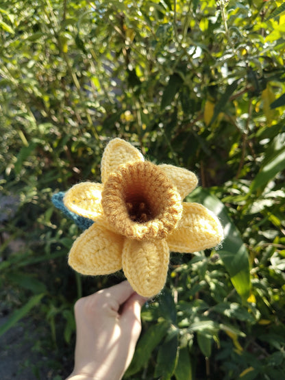 Daffodil