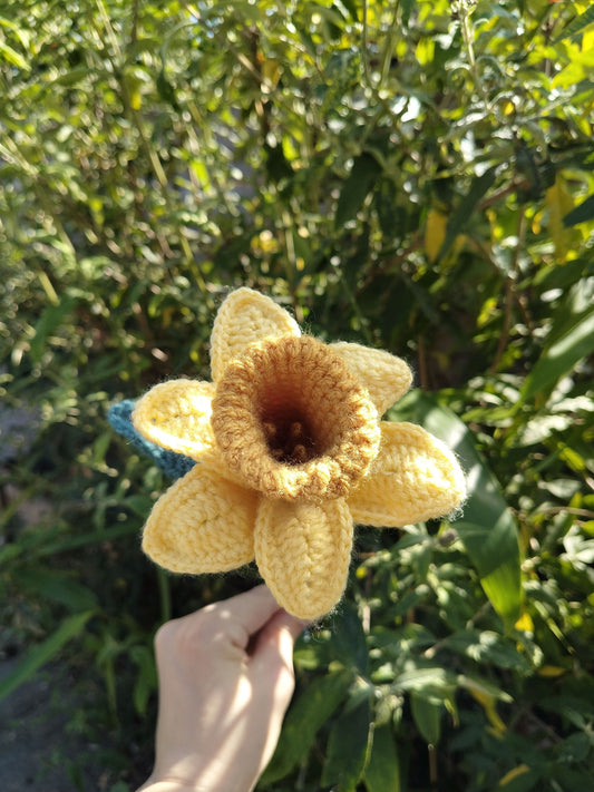 Daffodil