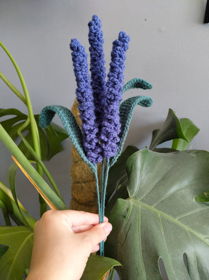 Lavender