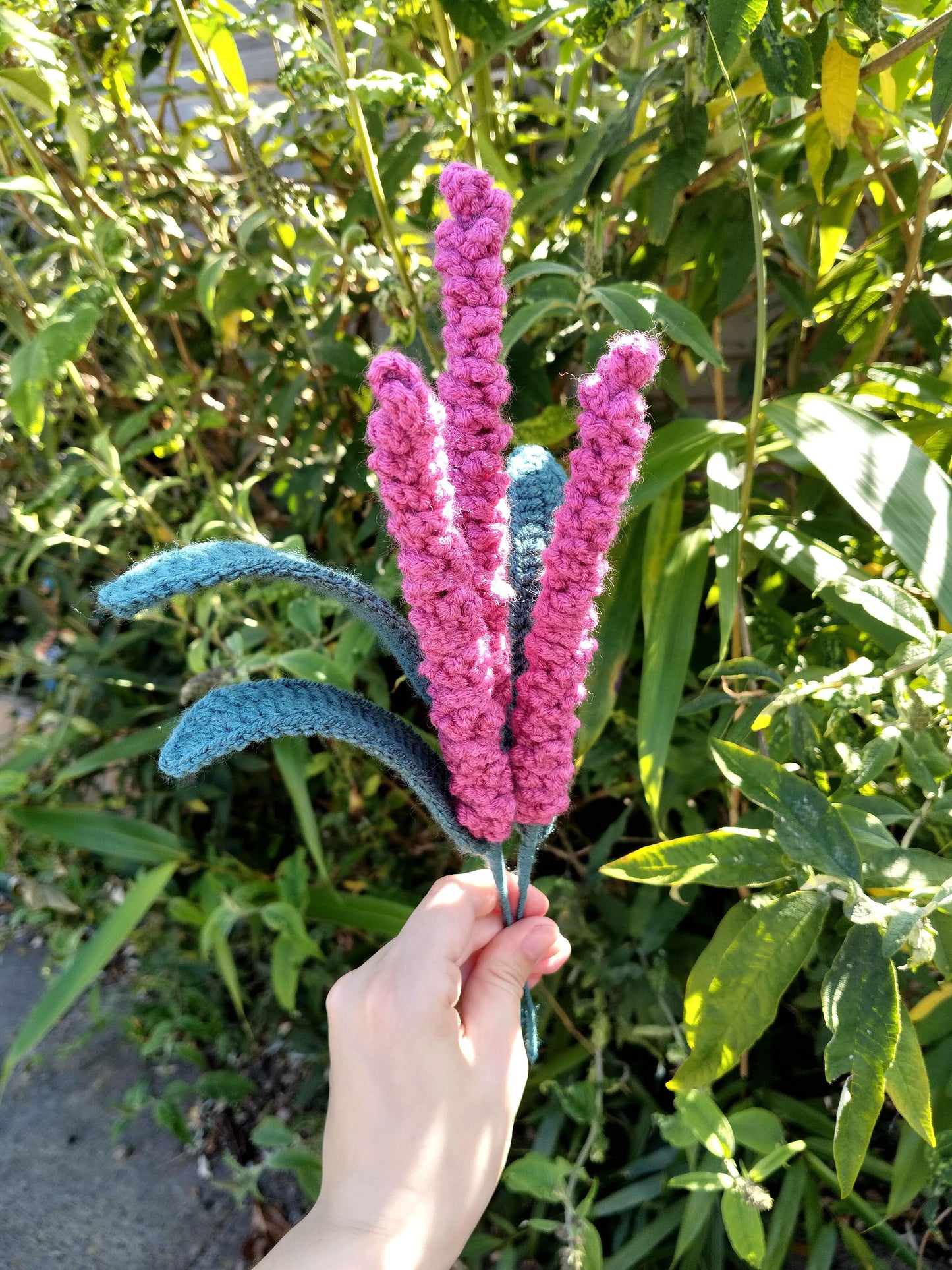 Lavender