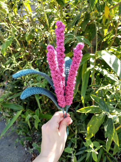 Lavender