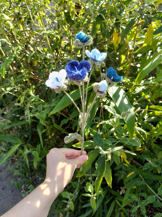 Forget Me Nots