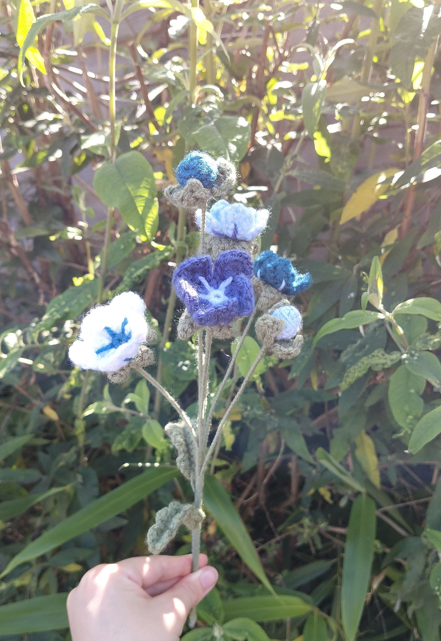 Forget Me Nots