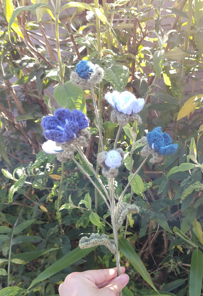 Forget Me Nots
