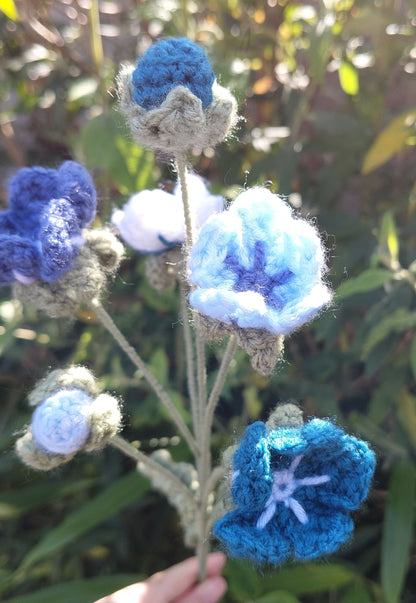 Forget Me Nots