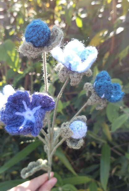 Forget Me Nots