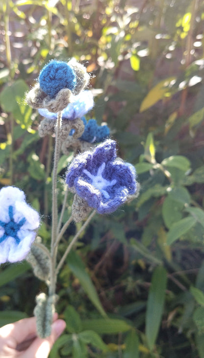 Forget Me Nots