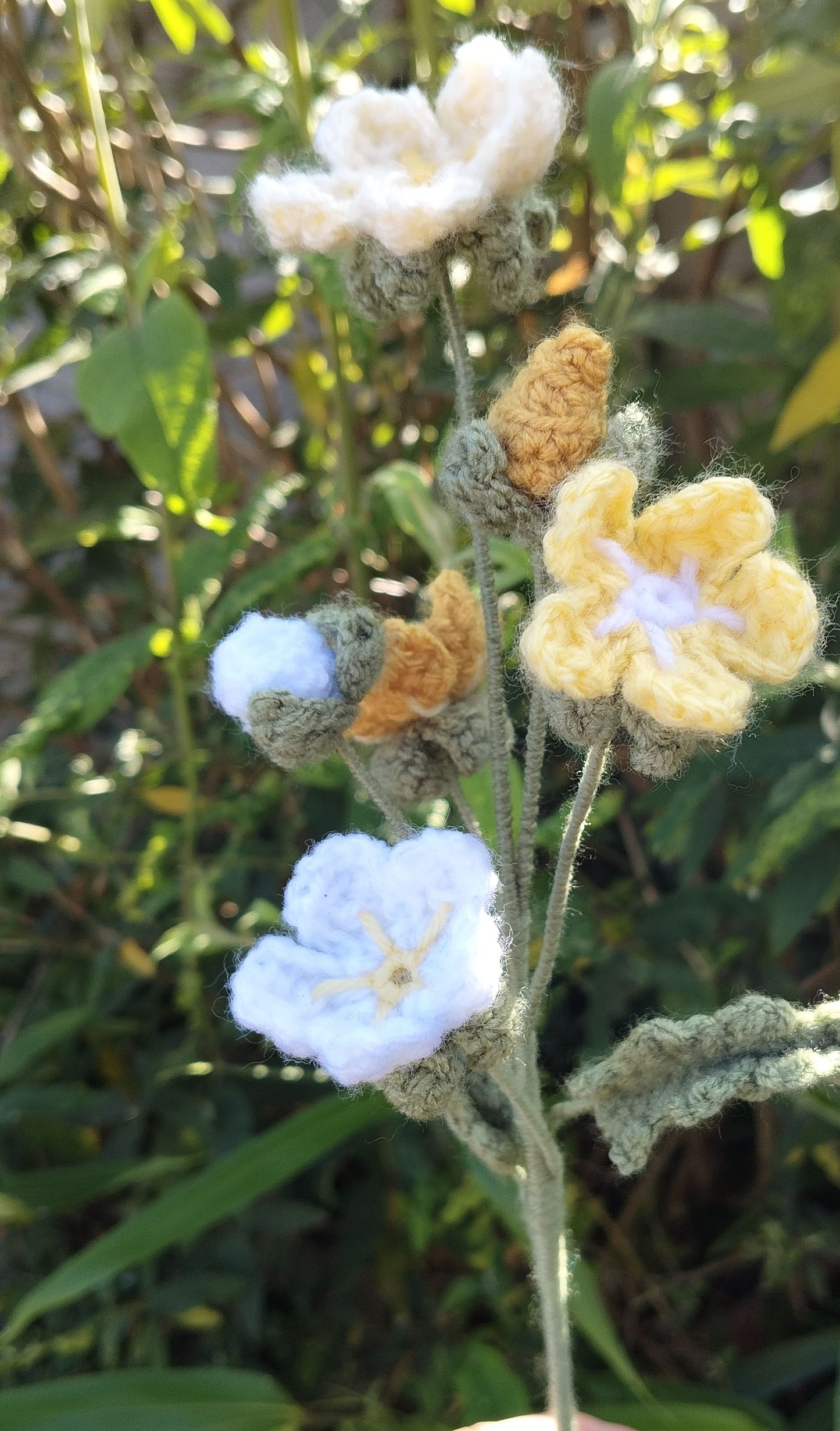 Forget Me Nots