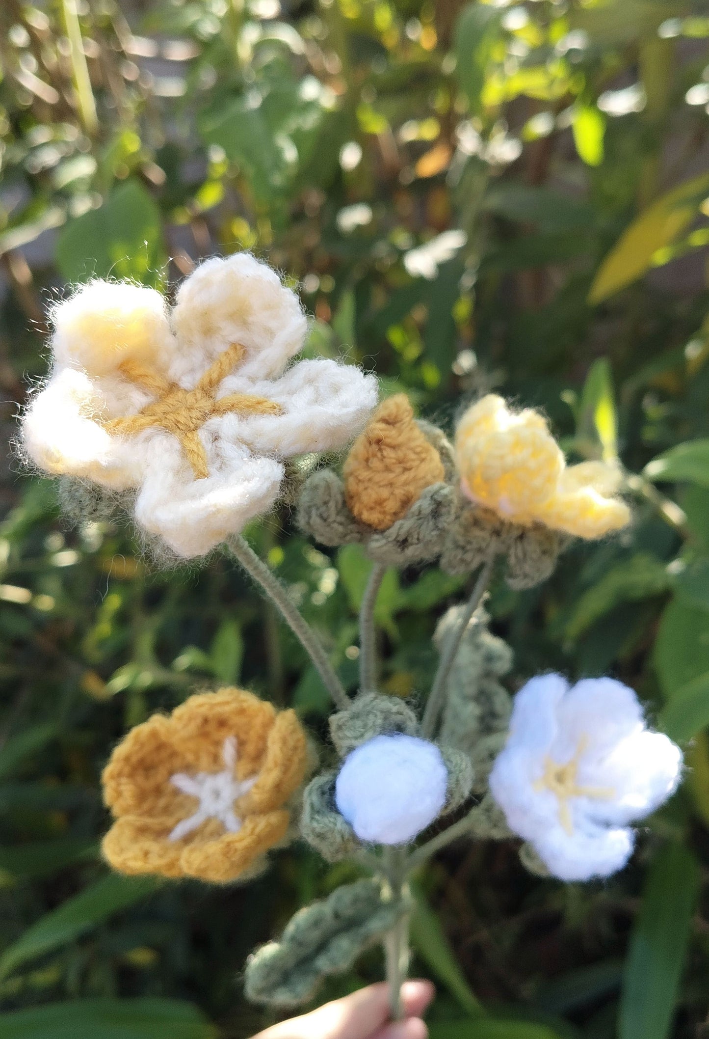 Forget Me Nots