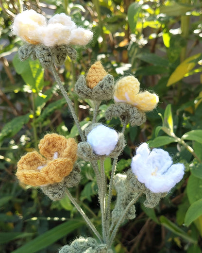 Forget Me Nots