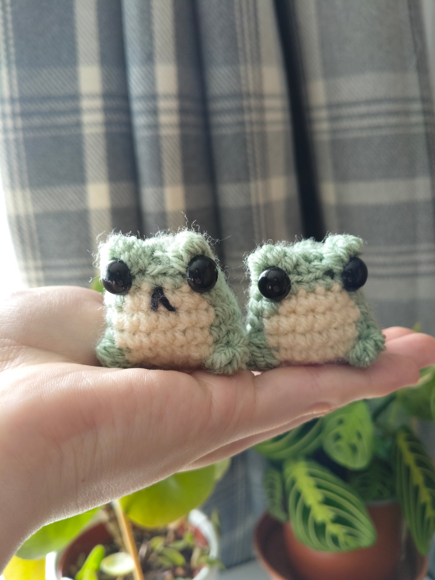 Mini Frog Badge