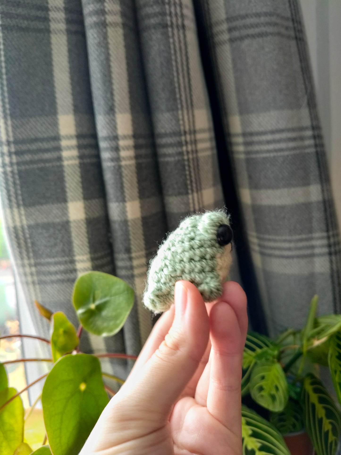 Mini Frog