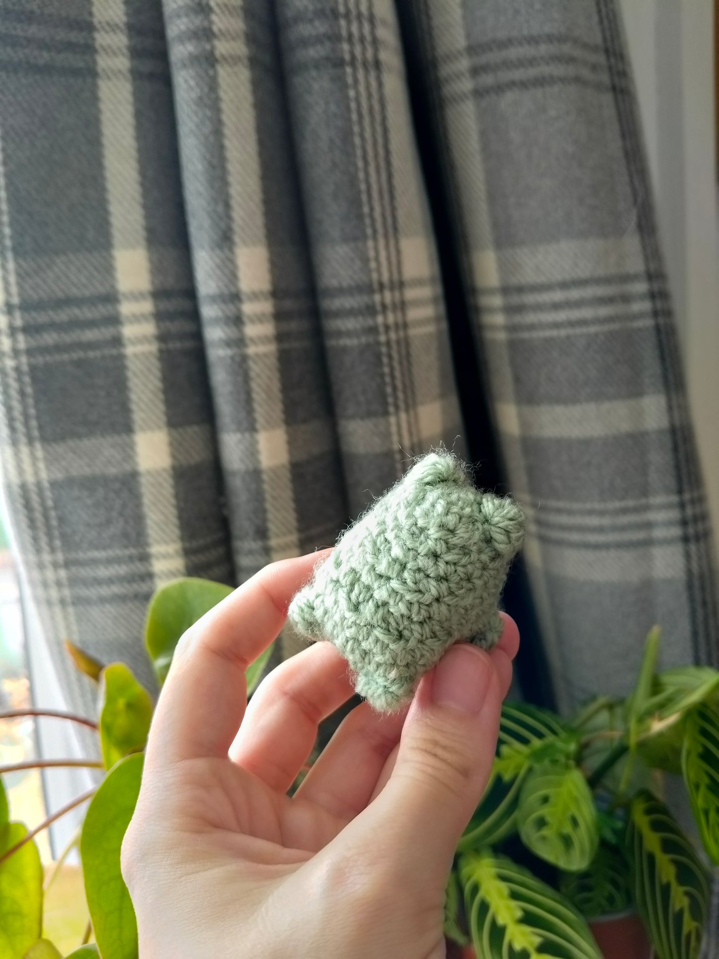 Mini Frog