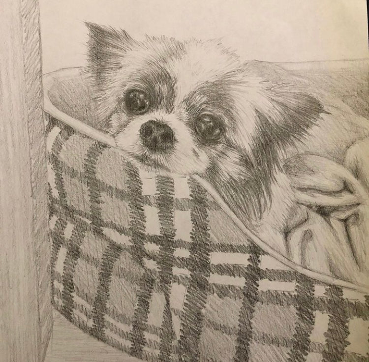 A4 Drawing