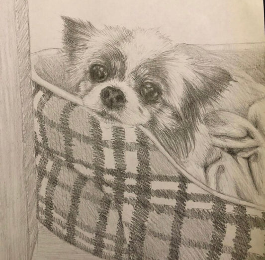 A4 Drawing