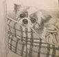 A4 Drawing