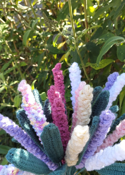 Lavender
