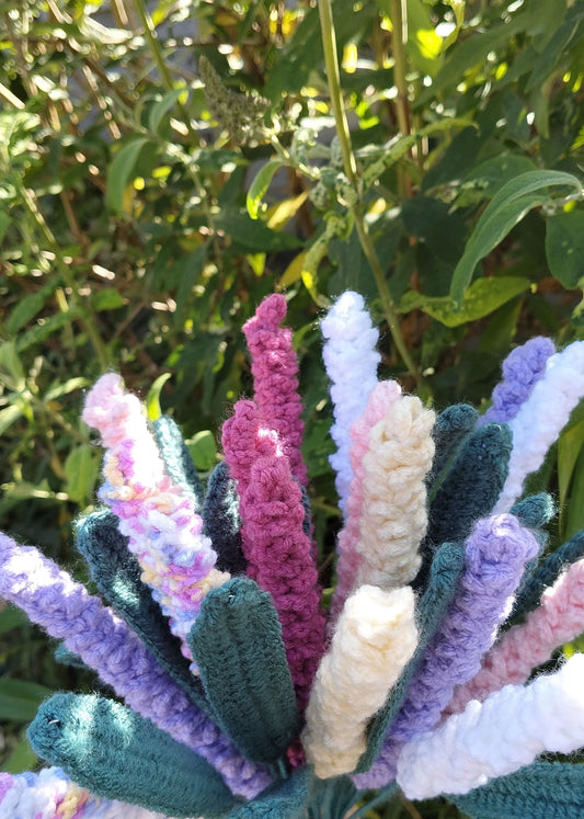 Lavender