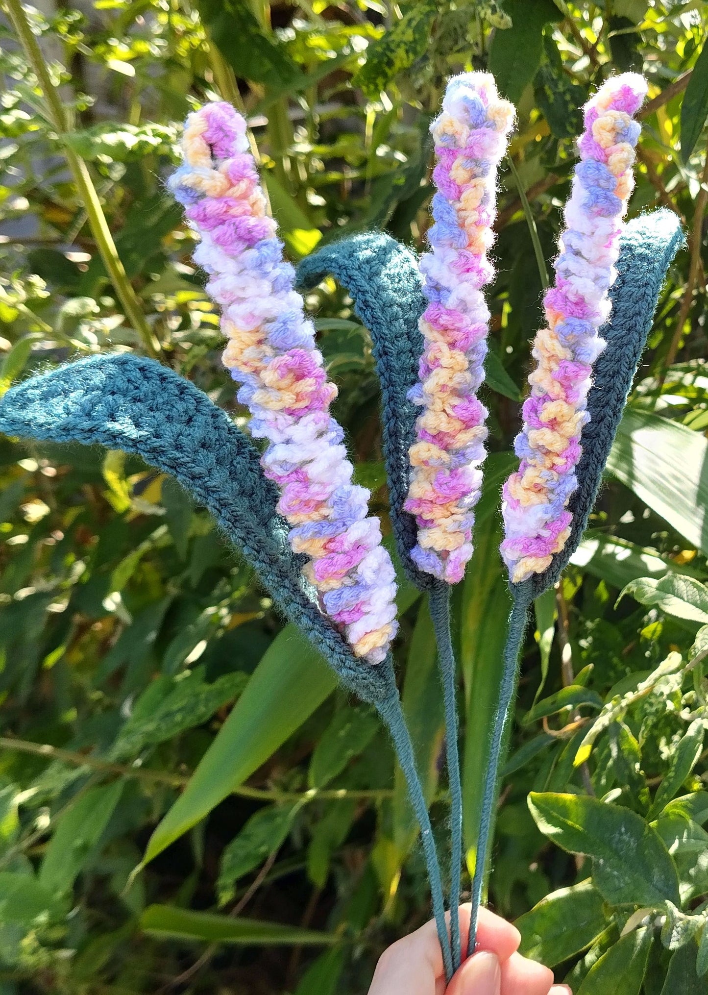 Lavender