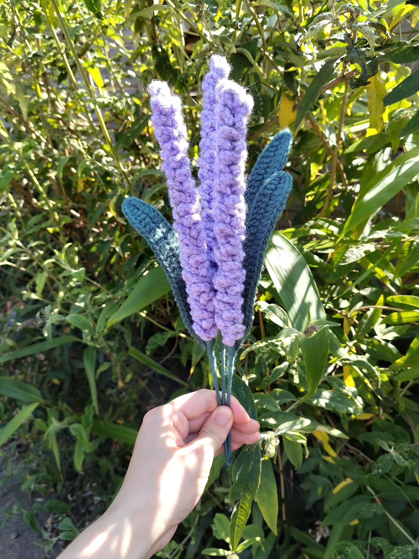 Lavender