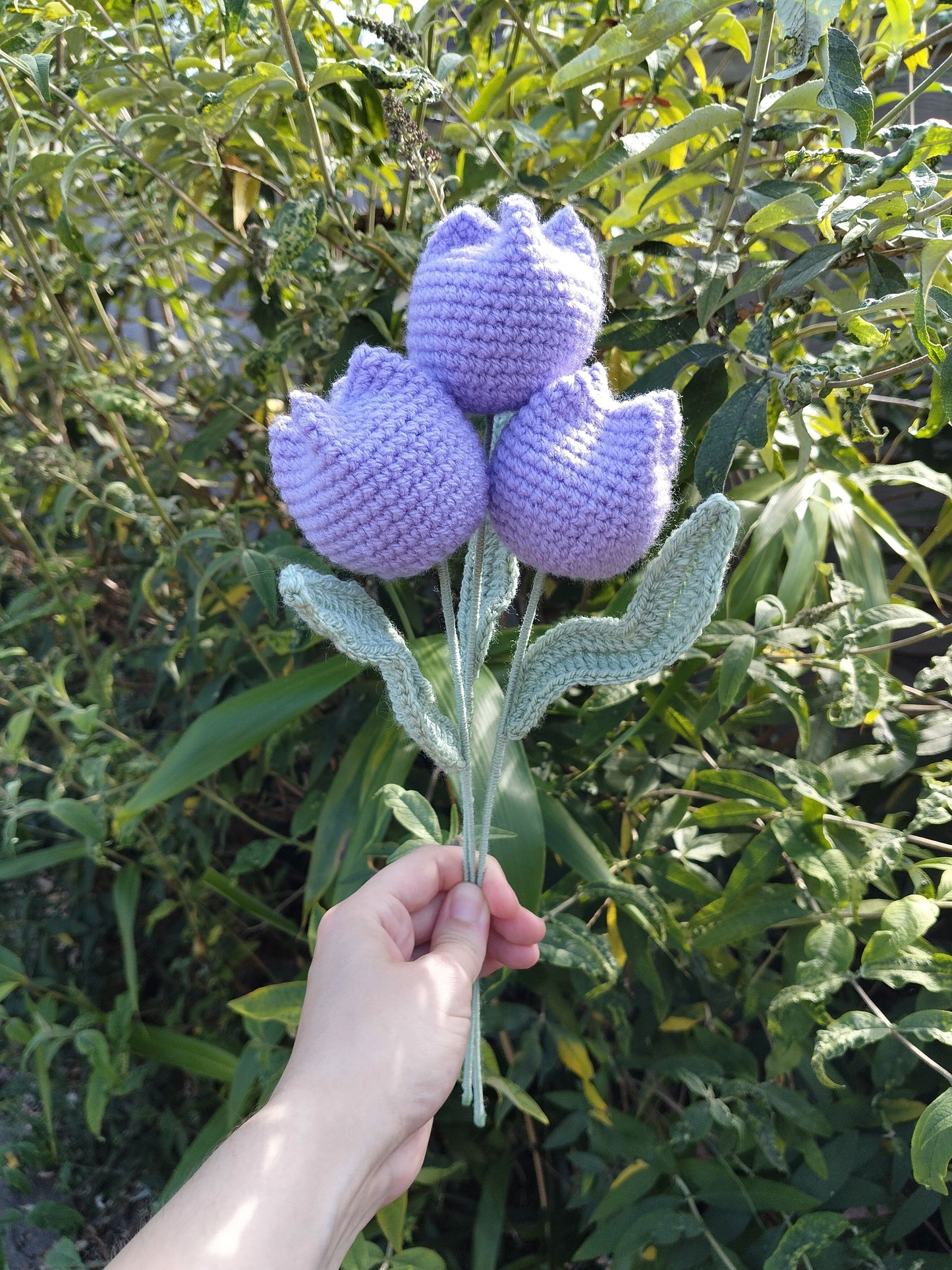 Closed Tulip