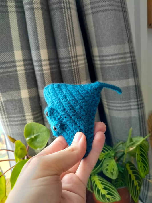 Manta Ray