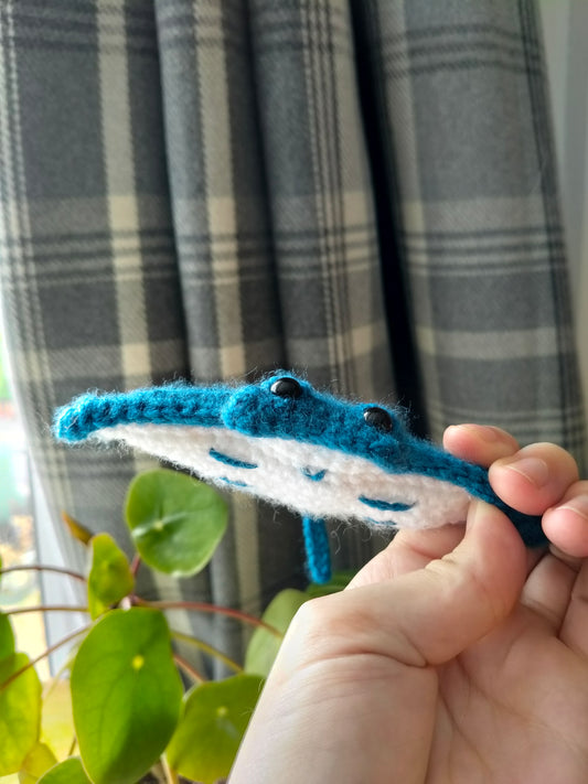 Manta Ray