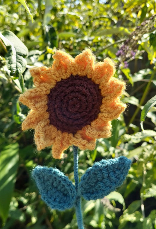 Small Sunflower